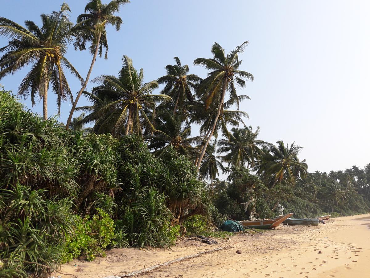 Leatherback Beach Villa Ahungalla Bagian luar foto